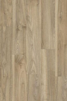Roots 55 English Walnut 20226