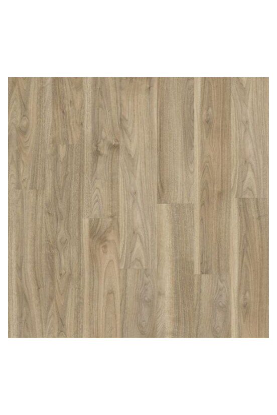 Roots 55 English Walnut 20226 Roots 55 English Walnut 20226