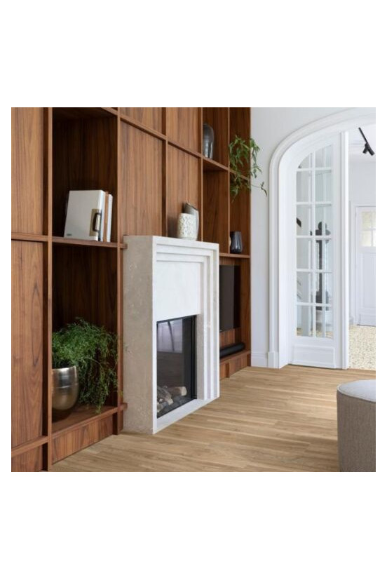 Roots 55 English Walnut 20226 Roots 55 English Walnut 20226
