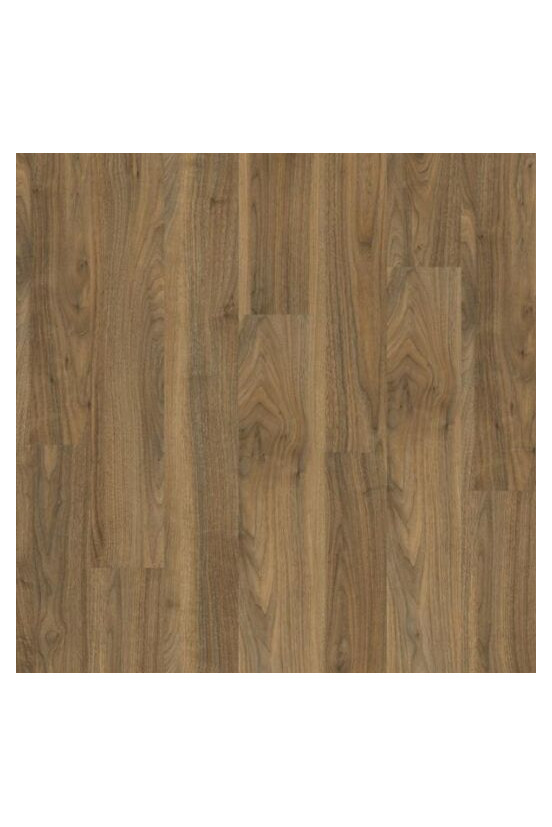 Roots 55 English Walnut 20565 Roots 55 English Walnut 20565