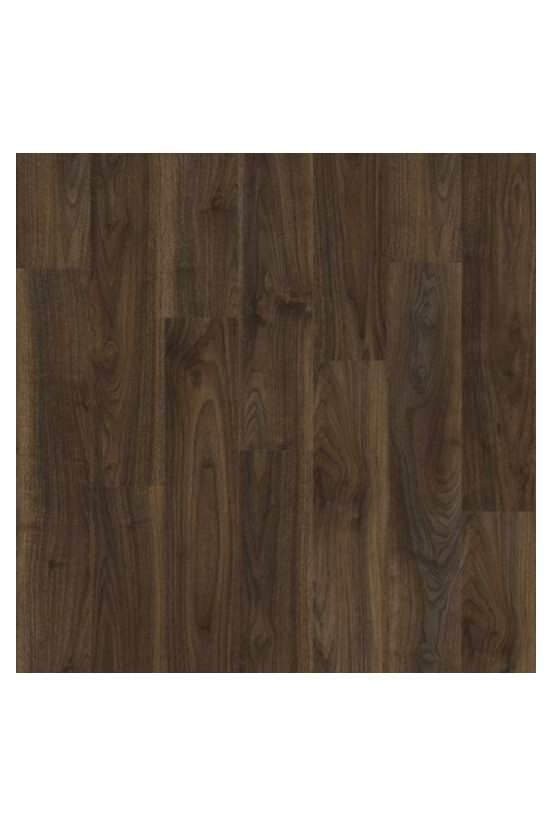 Roots 55 English Walnut 20896 Roots 55 English Walnut 20896