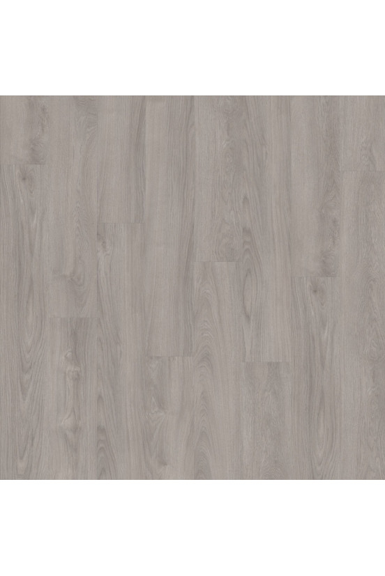 LayRed Midland Oak 22936 LayRed Midland Oak 22936