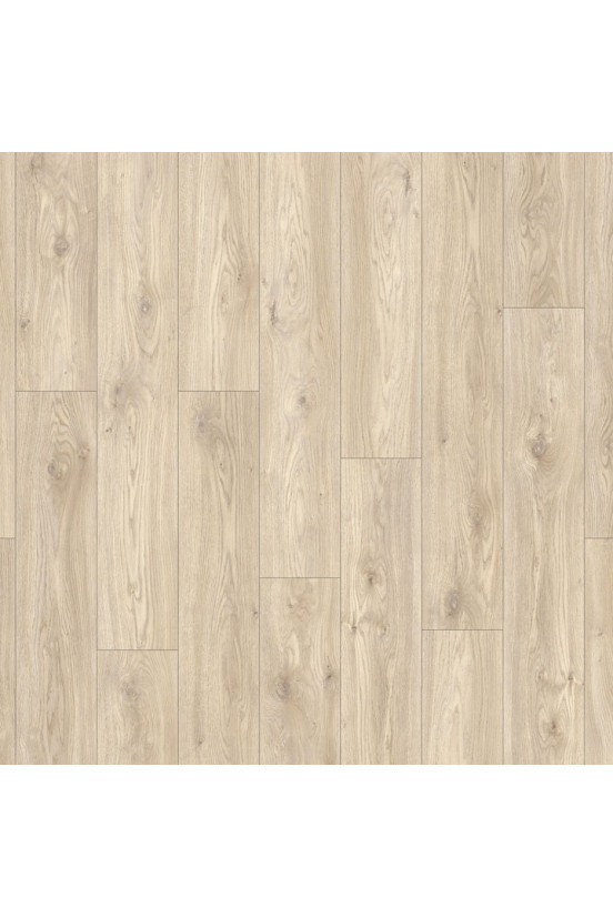 Roots 55 EIR Sierra Oak 58226