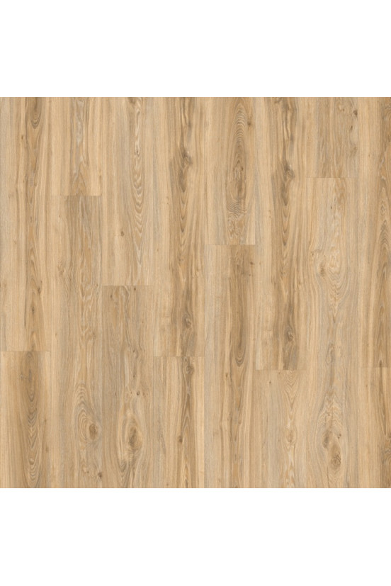 Roots 55 Blackjack Oak 22220 Roots 55 Blackjack Oak 22220