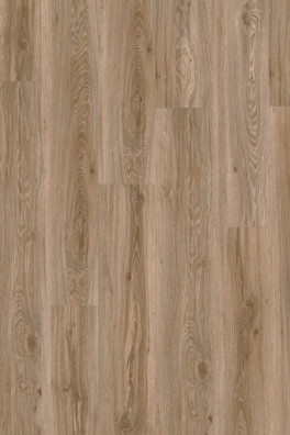 Roots 55 Blackjack Oak 22229