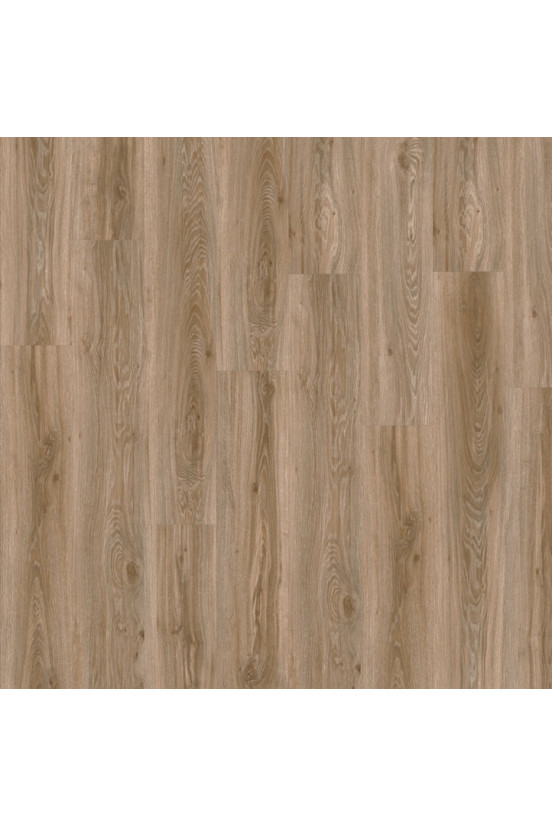 Roots 55 Blackjack Oak 22229 Roots 55 Blackjack Oak 22229
