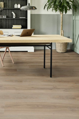 Roots 55 Blackjack Oak 22229 Roots 55 Blackjack Oak 22229
