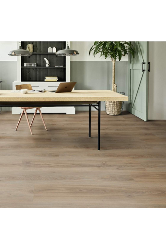 Roots 55 Blackjack Oak 22229 Roots 55 Blackjack Oak 22229