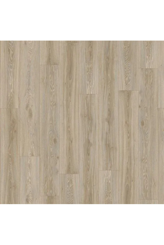 Roots 55 Blackjack Oak 22246 Roots 55 Blackjack Oak 22246