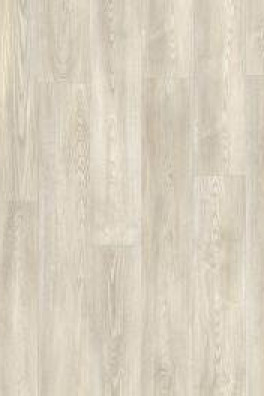Roots 55 Mexican Ash 20216