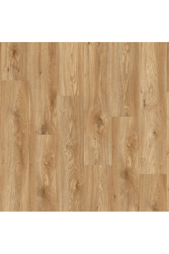 Roots 55 EIR Sierra Oak 58346