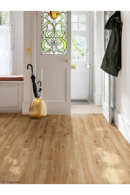 Roots 55 EIR Sierra Oak 58346