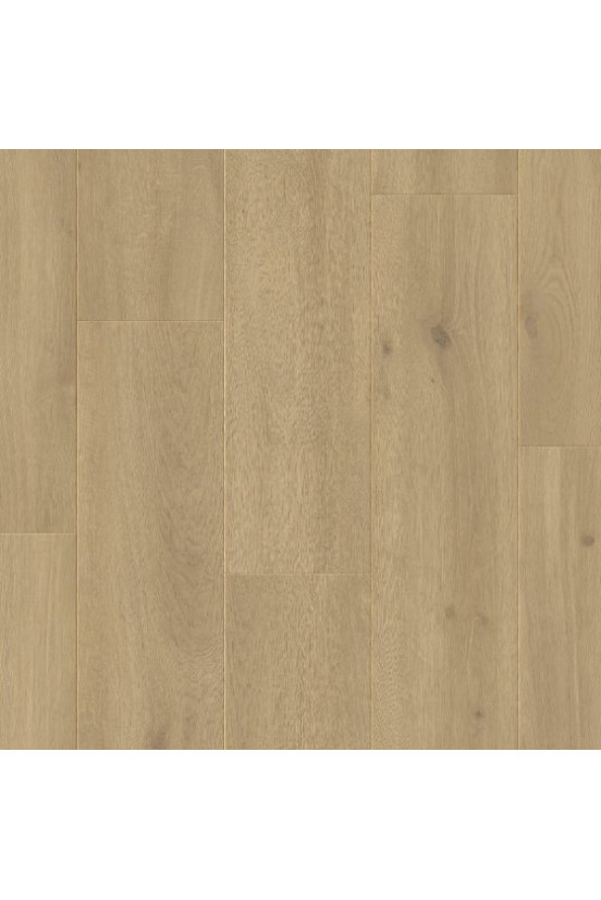 Elite XL V4 Zaan 6084 – Aquaprotect