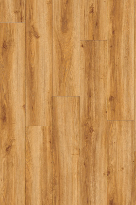 Roots Classic Oak 24438