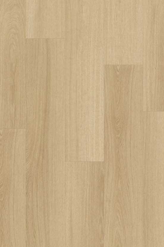 Roots 55 Glyde Oak XL 22219