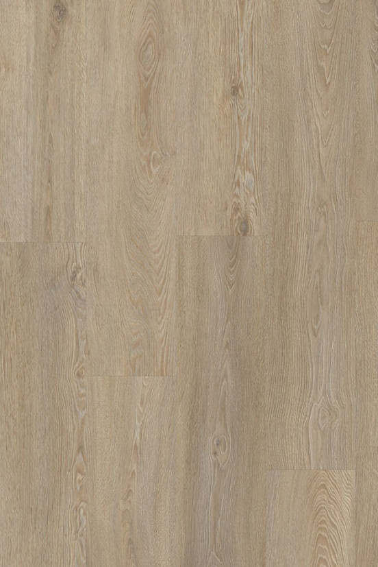 Roots 55 EIR Galtymore Oak 86851