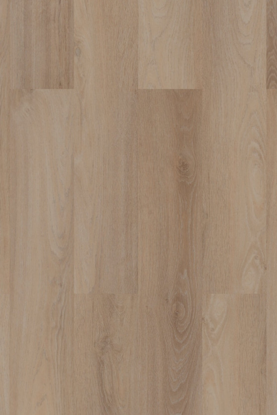 Room 5 Royal Champagne