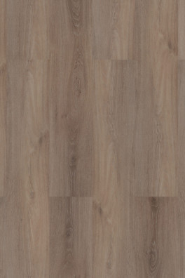 Room 5 Ambassador Oak