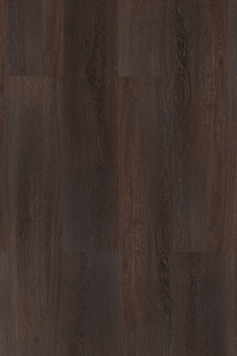 Room 5 Presidential Ebony