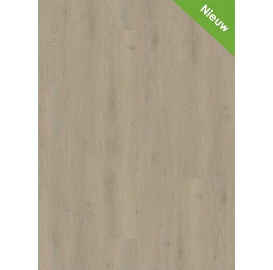 Gelasta Mystiq 1803 (dryback) Smoked Light Gelasta Mystiq 1803 (dryback) Smoked Light
