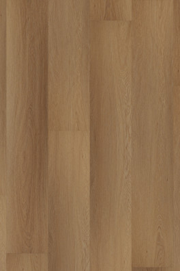 Room 5 Western Hemlock