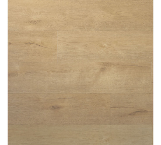 Douwes Dekker Plank Sprits PVC-klik Praktisch Douwes Dekker Plank Sprits PVC-klik Praktisch