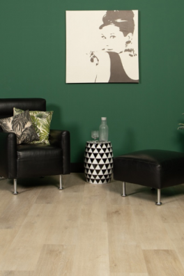Douwes Dekker PVC klik Riante plank Pepermunt Douwes Dekker PVC klik Riante plank Pepermunt
