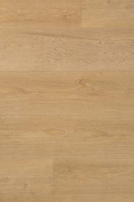 Douwes Dekker dryback Riante plank Boterkoek Douwes Dekker dryback Riante plank Boterkoek