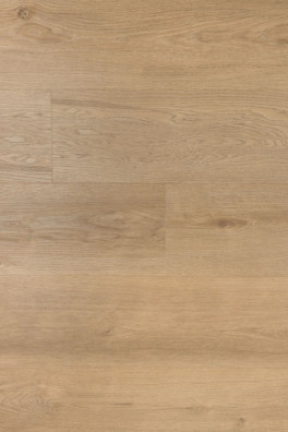 Douwes Dekker dryback Riante plank Gemberkoek