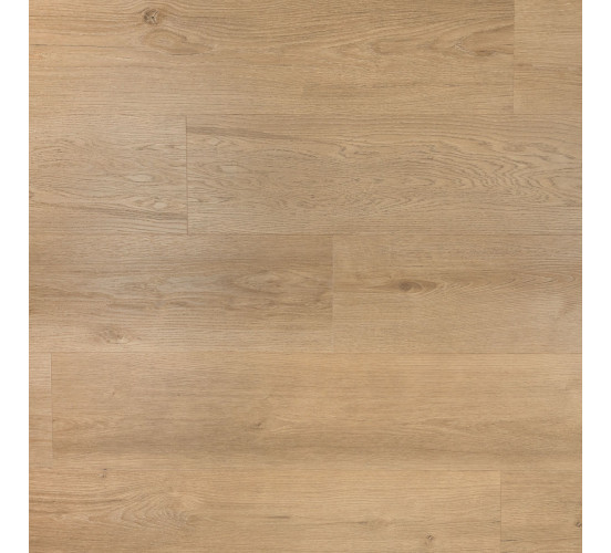 Douwes Dekker dryback Riante plank Gemberkoek Douwes Dekker dryback Riante plank Gemberkoek