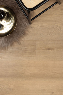 Douwes Dekker dryback Riante plank Gemberkoek Douwes Dekker dryback Riante plank Gemberkoek
