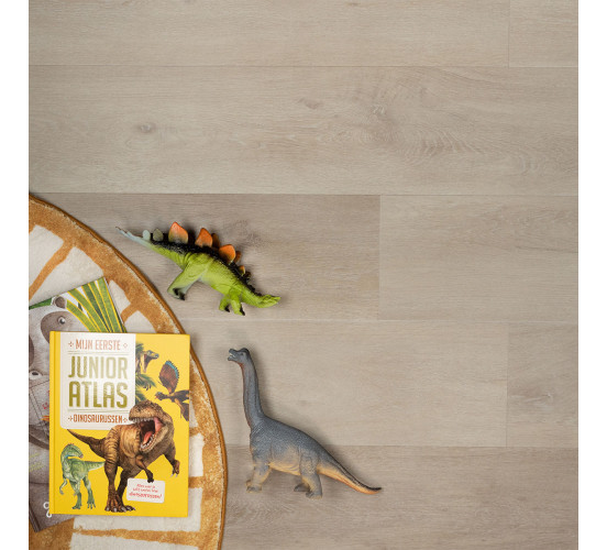 Douwes Dekker dryback Riante plank Pepermunt Douwes Dekker dryback Riante plank Pepermunt