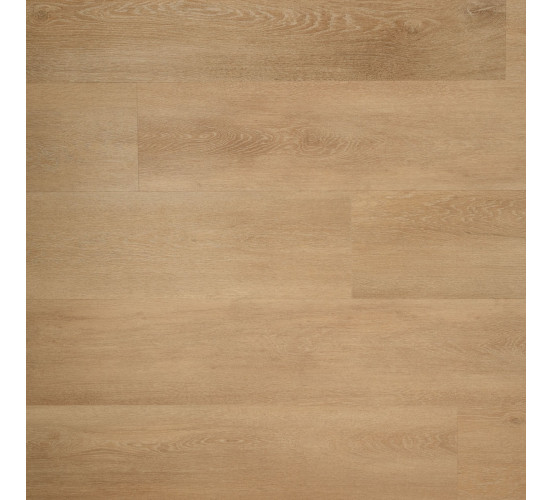 Douwes Dekker dryback Riante plank Zoethout Douwes Dekker dryback Riante plank Zoethout