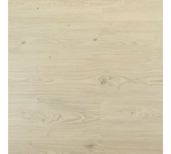 Douwes Dekker dryback Riante plank Cheesecake Douwes Dekker dryback Riante plank Cheesecake