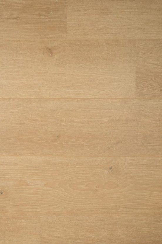 Douwes Dekker laminaat Brede plank Kamille Douwes Dekker laminaat Brede plank Kamille