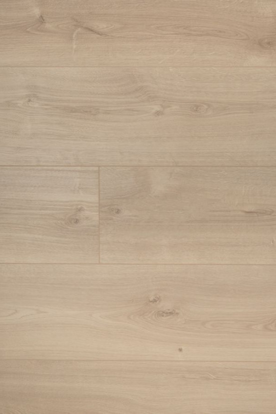 Douwes Dekker laminaat Extra lange plank Jasmijn Douwes Dekker laminaat Extra lange plank Jasmijn