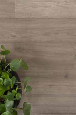 Douwes Dekker laminaat Solide plank marjolein