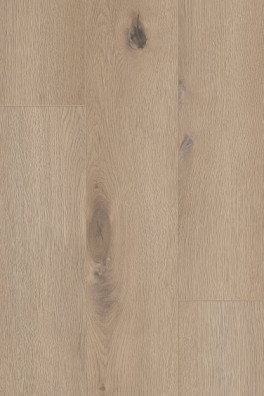 CoreTec Ontario Authentics 1800 4V E CoreTec Ontario Authentics 1800 4V E